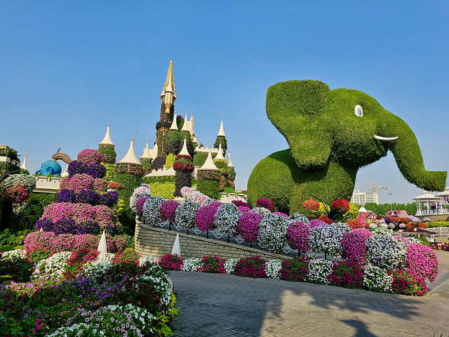 /Dubai Miracle Garden.jpg